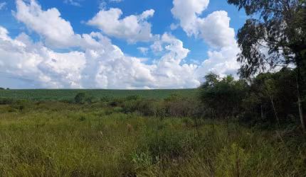 EXCELENTE CHACARA COM 3.000 M2 C. TAQUARAL 300,000