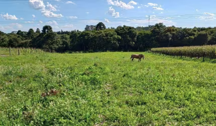 EXCENTE CHACARA COM 7.800 M2 SEM BENFEITURIAS  C.LARGO DA ROSEIRA 550.000,00