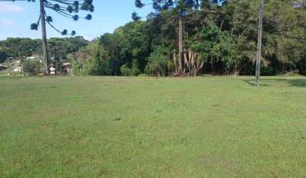 EXCELENTE CHACARA COM 20.000 M2 CAMPO LARGO DA ROSEIRA 650.000,00 SEM BENFEITURIAS