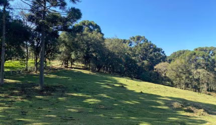 EXCELENTE AREA NO ARUJA COM 8.000 M2 1.240.000