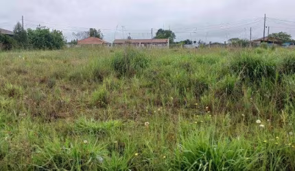EXCELENTE CHACARA SEM BENFEITURIAS 2.000 M2 CAMPO L.DA ROSEIRA 330.000,00