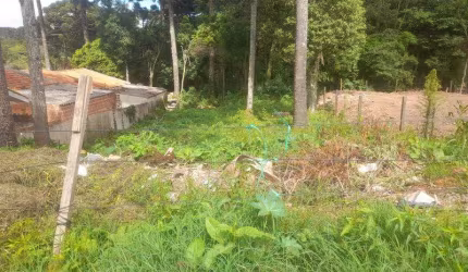 EXCELENTE LOTE COM 390 M2 SEM BENFEITURIAS SENDO 13X30 -390 M2 BAIRRO DAS NACOEIS  FAZENDA R.GRANDE 180000