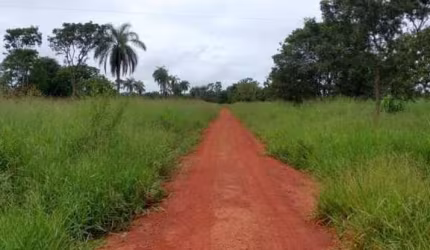 Fazenda de 60,27 hectares à venda na Região Fazenda Bandeira, em Abaeté - MG.