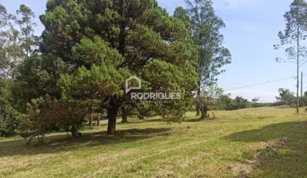 Chácara / sítio à venda na Estrada Morro do Paula, 3800, São Borja, São Leopoldo por R$ 2.000.000