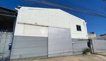 Barracão / Galpão / Depósito para alugar na Bom Retiro, 185, Municípios, Balneário Camboriú, 240 m2 por R$ 8.500
