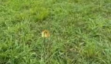 Condomínio Ibiti Reserva - Terreno em Condomínio na cidade de Sorocaba/SP. Ibiti