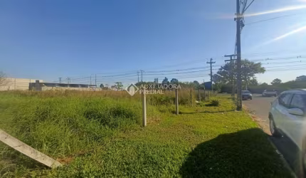 Terreno comercial para alugar na Avenida Açucena, 1, Estância Velha, Canoas, 908 m2 por R$ 3.000