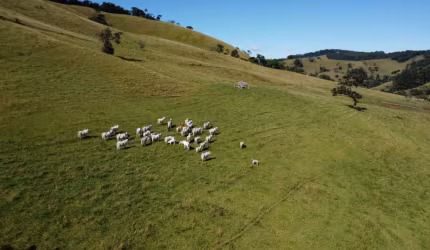 FAZENDA COM 100 ALQUEIRES EM CAMANDUCÁIA MG.