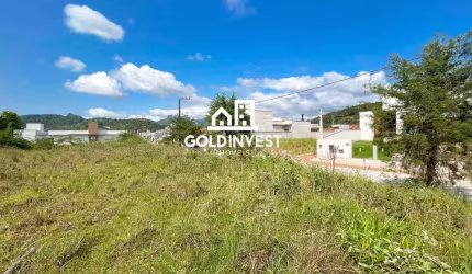 Terreno Plano e Escriturado, pronto para Construir