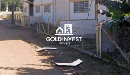 Terreno Industrial Com Galpão Rodovia Ivo Silveira