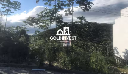 Terreno com 393,27m² no Próspero Cadore