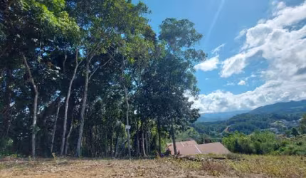 Terreno à venda, Dom Joaquim - Brusque/SC
