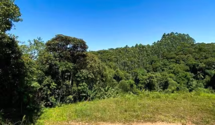 Terreno à venda, Limoeiro - Brusque/SC