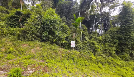 Terreno à venda, Guarani - Brusque/SC