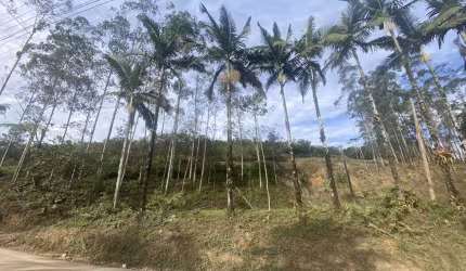 Terreno à venda, Dom Joaquim - Brusque/SC