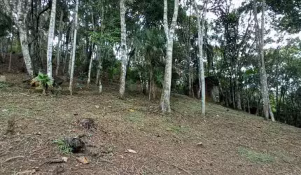 Sitio na Limeira com 10.000,00 m²