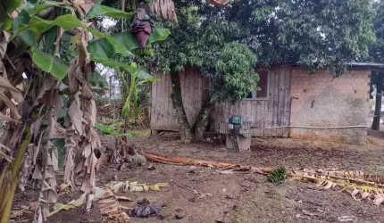 Terreno à venda, Dom Joaquim - Brusque/SC