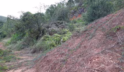 Terreno à venda, Dom Joaquim - Brusque/SC