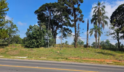 Área Industrial 24.000m² – Bairro Curitibanos - Bragança Paulista/SP