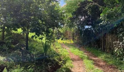 Chácara à venda, 3000 m² por R$ 280.000,00 - Taboão - Taubaté/SP