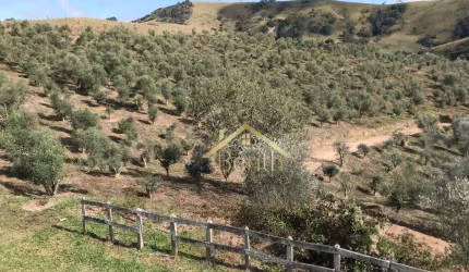 Sítio à venda, 197000 m² por R$ 4.500.000,00 - Jardim Novo Horizonte - Lorena/SP