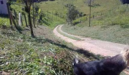 Terreno à venda, 2450 m² por R$ 280.000,00 - Santo Antônio Do Pinhal - Santo Antônio do Pinhal/SP