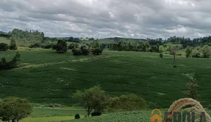 Sítio para Venda em Nova Tebas, Zona Rural
