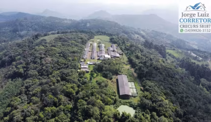 Área de 18ha em local alto
