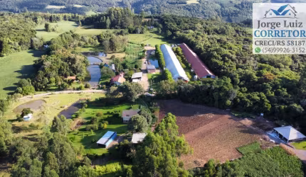 Excelente sítio produtivo pra venda em Nova Petrópolis Serra Gaúcha.