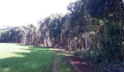 Chácara à venda em Campo Largo/PR
