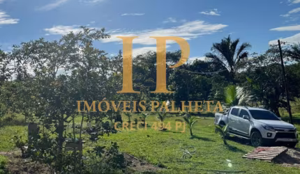 Vende-se Sítio, propriedade com 12.500M², no Rio Preto da Eva, Amazonas.