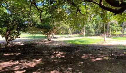 Terreno à venda na Rural, s/n°, Zona Rural, Santa Maria da Serra por R$ 210.000