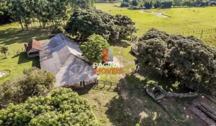 Página 1 Imóveis anuncia para venda excelente oportunidade de &amp;quot;fazenda&amp;quot; com 80 hectares no bairro Lomba Grande em Novo Hamburgo–RS. - FA412