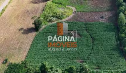 Página 1 Imóveis anuncia para venda excelente oportunidade de &amp;quot;terreno&amp;quot; com 26.000m² em Dois Irmãos–RS. - TE413