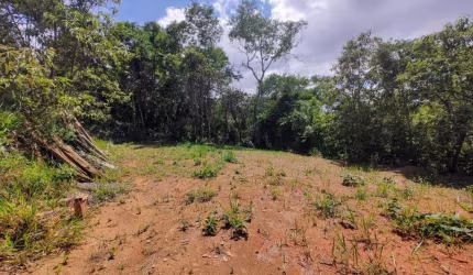 Terreno para Venda em Miguel Pereira, Sertãozinho