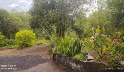 PROPRIEDADE EM LAJEADO PAULINO