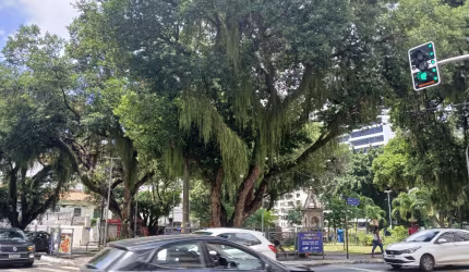 Largo da Graça> OPORRUNIDADE!! 2 quartos com dependência