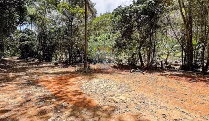 Terreno de 27.000m² com Riacho, Represa, ótimo acesso e Infraestrutura, próximo à Cascata do Galo em Domingos Martins