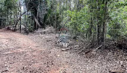 Terreno 25.000m²  Frente para Riacho, Próx. Cascata do Galo,  Escritura individual em Domingos Martins