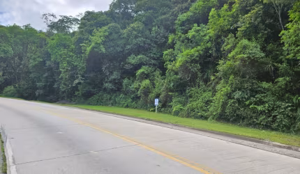 Ja imaginou você e sua família vivendo junto a natureza? Comece hoje a estruturar sua chácara junto a natureza