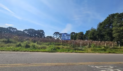 'Viva em Harmonia com a Natureza: Área Urbana Rodeado com Muito Verde!'.