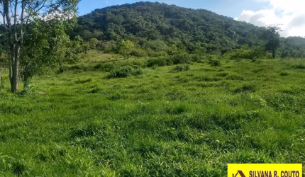 Cassorotiba-Inoã- Área Rural 34.000 M² Plana R$ 450 Mil- Aceito Proposta