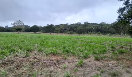 Lindo Sítio a Venda em Agrovila das Palmeiras