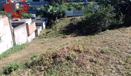 Terreno Residencial à venda, Cidade São Francisco, São Paulo - TE0074.