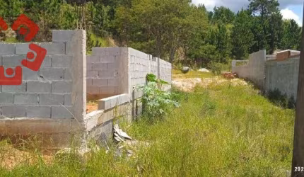 Terreno Residencial à venda, Taboleiro Verde, Cotia - TE0127.