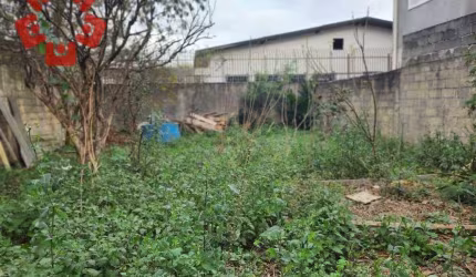 Terreno, 530 m² - venda por R$ 850.000,00 ou aluguel por R$ 8.000,00 - Vila Silviânia - Carapicuíba/SP