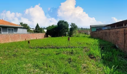 Terreno à Venda no bairro Serra Alta - São Bento Do Sul