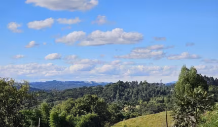 Chácara à venda em Campo Alegre - Ótima Opção para Investimento