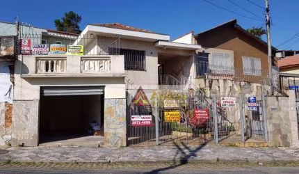Terreno residencial à venda, Vila Isolina Mazzei, São Paulo.