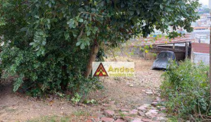 Terreno à venda, 690 m² por R$ 2.332.000,00 - Sítio do Mandaqui - São Paulo/SP